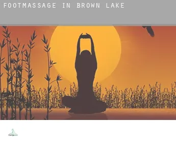 Foot massage in  Brown Lake